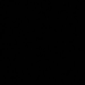 Meet your Posher, Diego